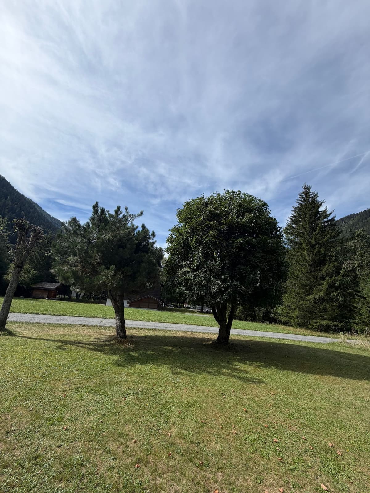 Chantier JM Élagage Thonon-les-Bains — réalisation 7