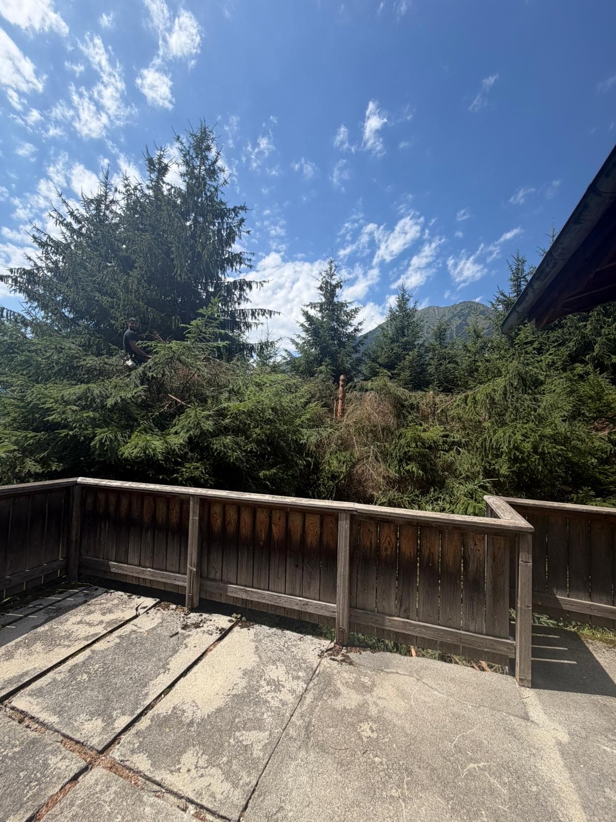 Chantier JM Élagage Thonon-les-Bains — réalisation 3
